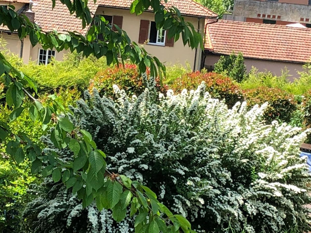 A O Soa B&B Savignone Εξωτερικό φωτογραφία